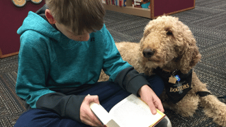 Young child reads to a therapy dog