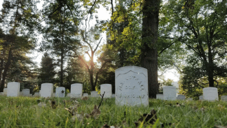 Tombstones in Woodlawn Cemetery