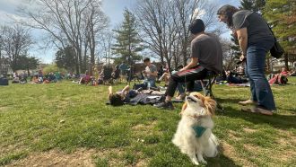 Adults and children (and a dog) gather on the lawn of Wright Library.