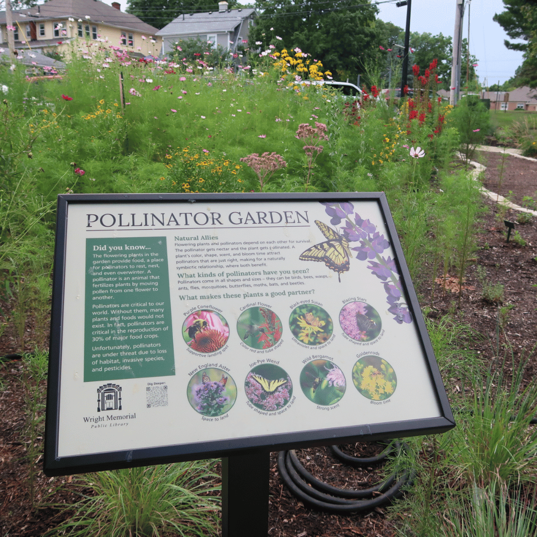 Pollinator garden sign in Wright Library's sun garden