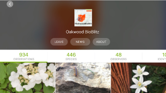 oakwood bioblitz project screenshot 