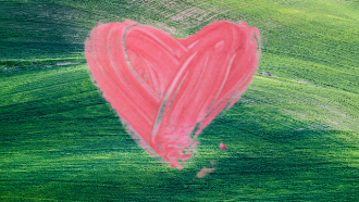 pink heart on green field