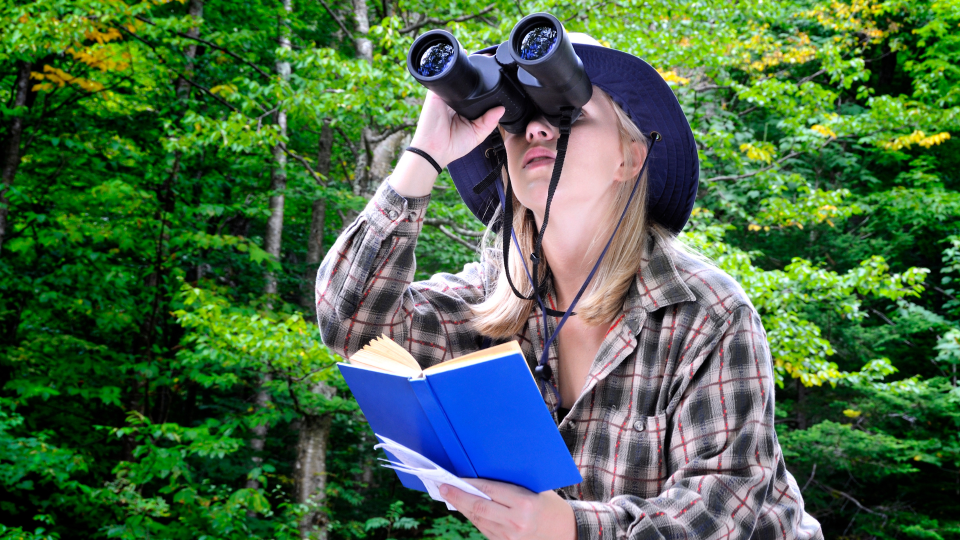 Birder using binoculars and a guide book